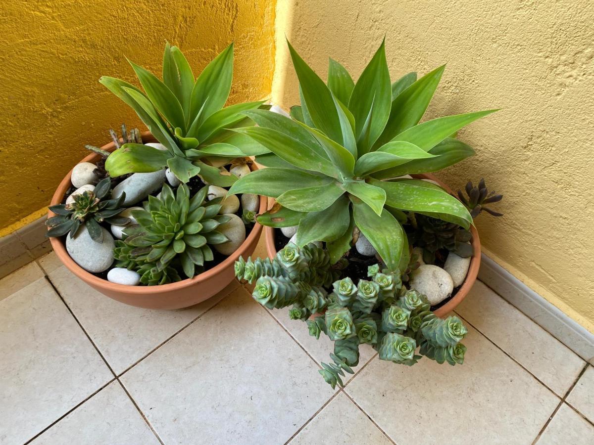 Appartement Jazmines Del Sol